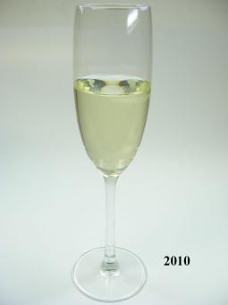 Sekt - Champagne (echt glas) 5.5x22/5 cm dummy