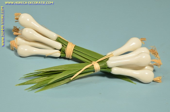 Sjalotten, 2 bosjes a, 6 stuks (dummy) 20x200 mm