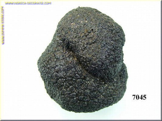 Grote Zwarte truffel  - dummy 7,5 x 8 cm imitatie namaak