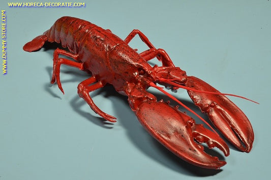 Kreeft XXL - (K3) 500x180 mm - Vis dummy imitatie namaak