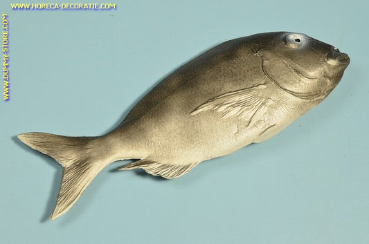 Tandbrasem - 360x130 mm - Visdummy dummy namaak